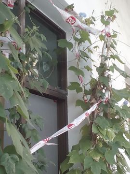 我好爱你你好满意主播照片