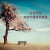 张兴z