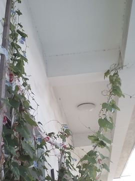 我好爱你你好满意主播照片
