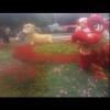 睫毛下的目光