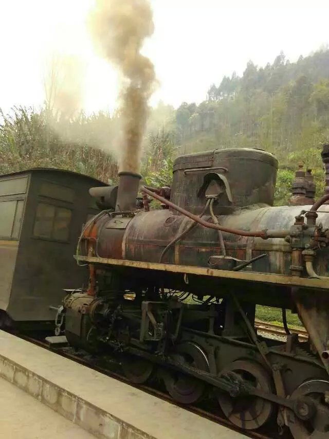 ：︶￣奎哥丶➹的主播照片