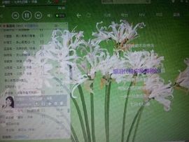 透明♪♪咖啡♪♪主播照片