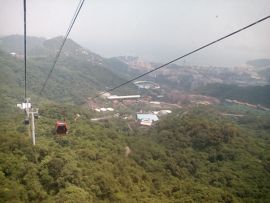 心语愽客主播照片