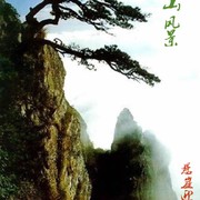 哪1沬微笑已残缺