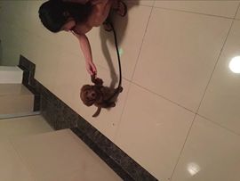 @美少女主播照片