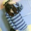 霸气女孩*