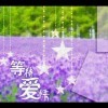 『缘份★天空』@想你