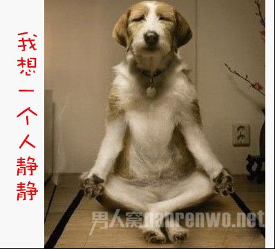陈默的海风的主播照片