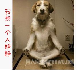 陈默的海风主播照片