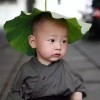 勿忘(心安海报