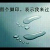 应龙x