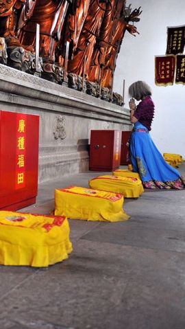 百变银丝雀主播照片