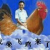 l狼爱上羊海报