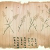 堇色安年、l