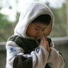 追风少年wj