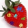 网络q