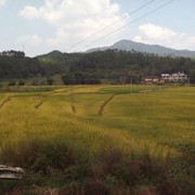 小孩子公司，海报