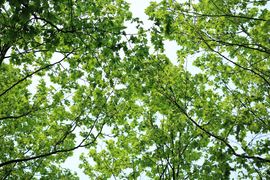 ★小★康★主播照片