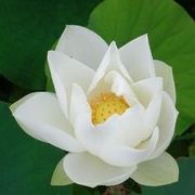 @四度陌言