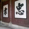 随风而逝e*
