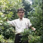 侠客平平的头像