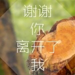 ，。永远，东哥