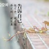 蓝晨』梓轩海报
