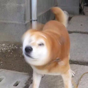 Binou比奴海报