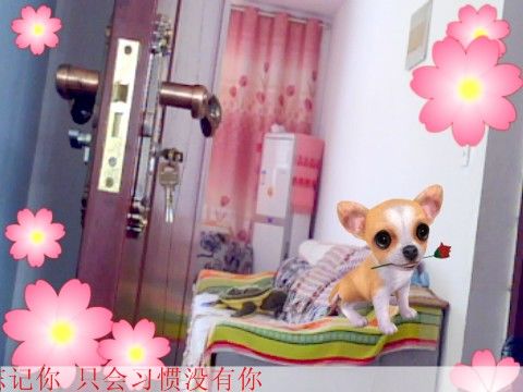 ~感动陪伴一秒~的主播照片