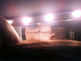 Ⅶゞ★☂安妮❤❤。主播照片