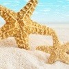 遇见❤海报
