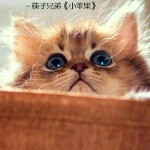 じ☆ve羙═╬跃哥海报