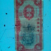 含羞草......