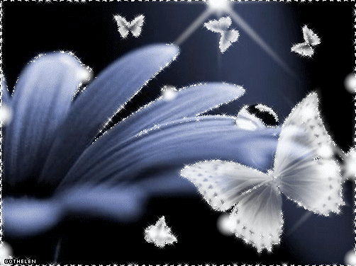 ❀墨莲❀浅尝❀的主播照片
