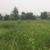 跨越时空5