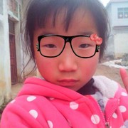河南的老李