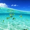 21.30海报
