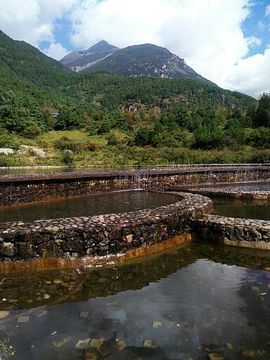 半醉半醒半痴呆x1主播照片