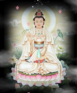 永远挂号主播照片