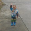 幸福的小笨猪5