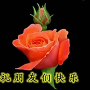 1个小老头海报