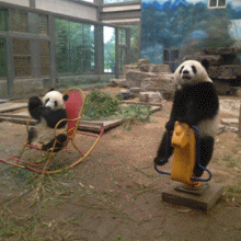 習慣有妮的图片