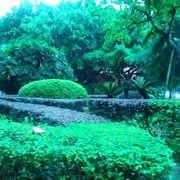 微信_6720133
