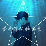 一顆流星②的頭像