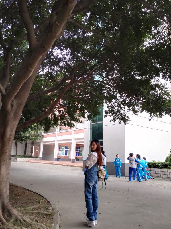 风中的风铃的图片