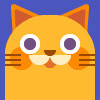 依依家的猫→小猫来了