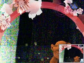 寻梦(文)群主主播照片