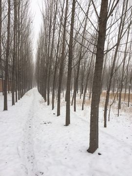 有位老师悄悄主播照片