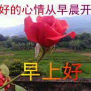 微信_8073053
