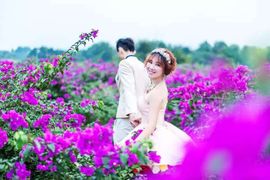 桂林花海景区主播照片